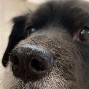 Meet your Posher, Shawna